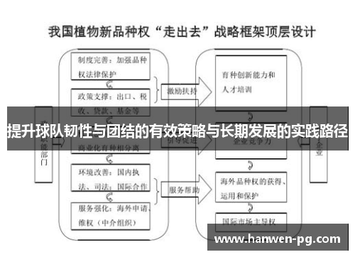 提升球队韧性与团结的有效策略与长期发展的实践路径