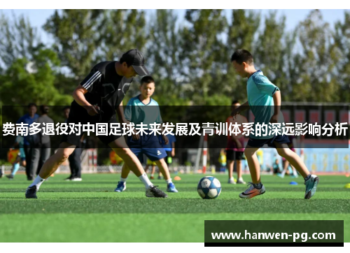 费南多退役对中国足球未来发展及青训体系的深远影响分析