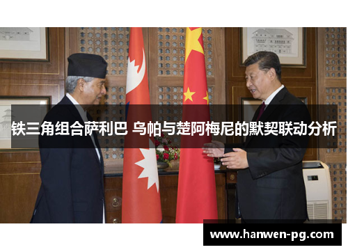 铁三角组合萨利巴 乌帕与楚阿梅尼的默契联动分析