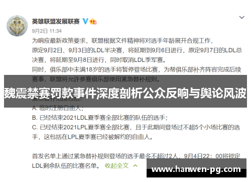 魏震禁赛罚款事件深度剖析公众反响与舆论风波